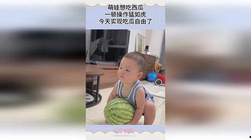 六萌娃吃瓜,欢乐吃瓜大冒险