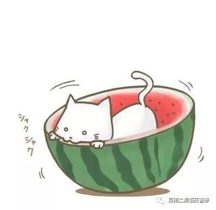 吃瓜系统动画看点,揭秘娱乐圈幕后看点大揭秘