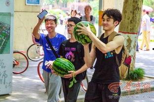 每日聪慧吃瓜大学舞,大学舞动青春风采