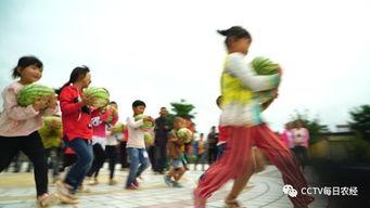 每日聪慧吃瓜大学舞,大学舞动青春风采