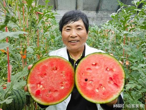 wuyi吃瓜,网络红人的瓜田奇遇记