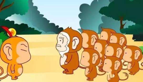 猴子吃瓜故事比赛,瓜果飘香中的智慧较量