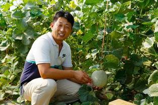 吃老吴的瓜,吃老吴的瓜，探寻娱乐圈背后的故事