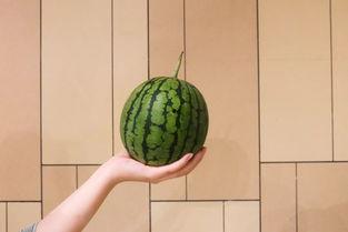 青海甜水井吃瓜,瓜果飘香，夏日避暑胜地探秘