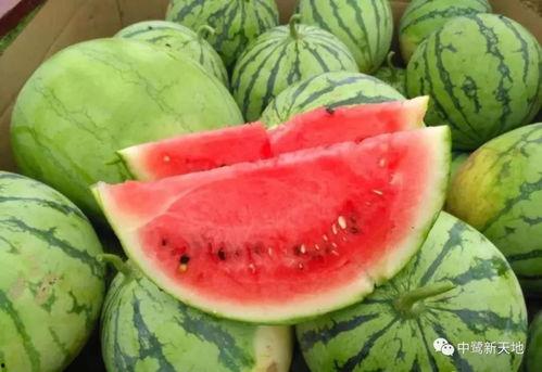 旺家客吃瓜,揭秘娱乐圈背后的那些事儿