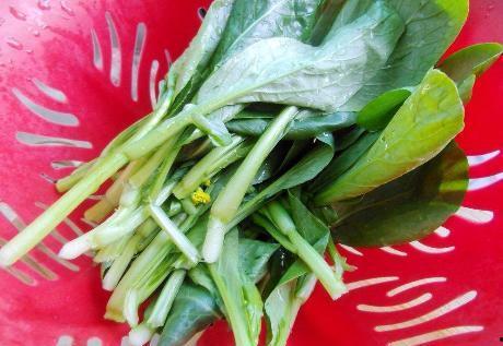 夏天吃瓜比吃青菜好,甜蜜瓜果胜过清新青菜