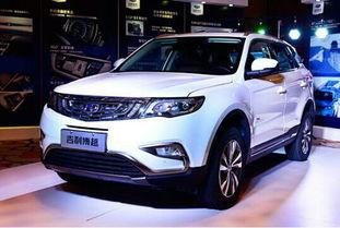 吃瓜群众爱汽车