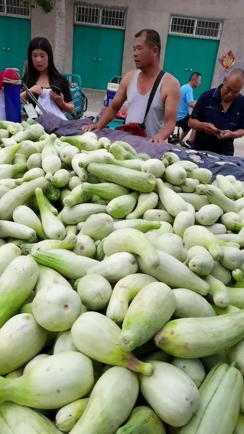 老板瓜可以怎么吃,老板瓜的多重美味吃法探索