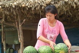 农村公婆另类吃瓜,揭秘乡村生活新风尚