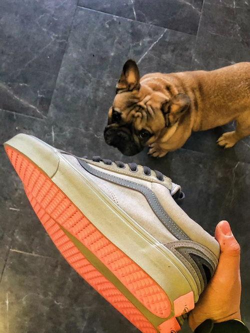 vans如意吃瓜,揭秘潮流鞋履背后的故事