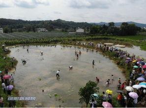 吃瓜群众东山公园,吃瓜群众的热闹聚集地