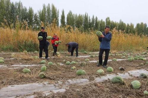 吃瓜群众东山公园,吃瓜群众的热闹聚集地