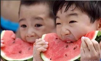 吃瓜的小喽啰,吃瓜小喽啰的独家爆料