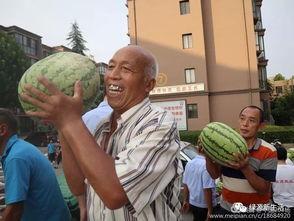 吃瓜现场转场,揭秘娱乐圈幕后风云