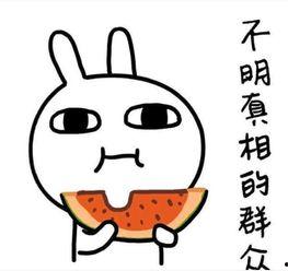 幽默吃瓜文案短句图片,笑料横生的短句图片集锦