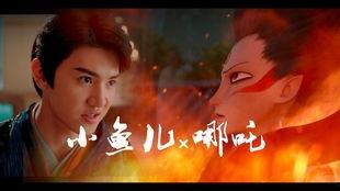 吃瓜系统江小鱼,揭秘吃瓜系统背后的秘密与魅力