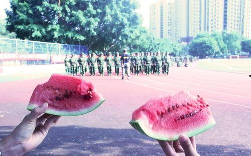 吃瓜最新忘川,探寻吃瓜者的忘川之旅