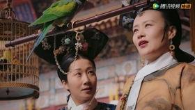 嬛嬛来了吃瓜,宫廷风云再起，吃瓜群众围观大戏