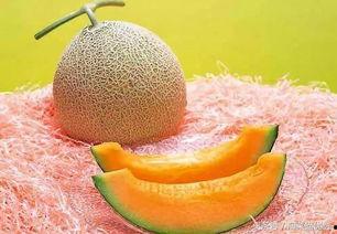 晚上可以吃网纹瓜吗,晚间食用网纹瓜的适宜性探讨