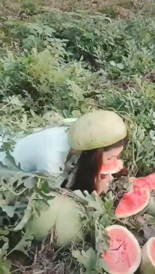 旅游吃瓜小姐姐,揭秘各地美食背后的故事