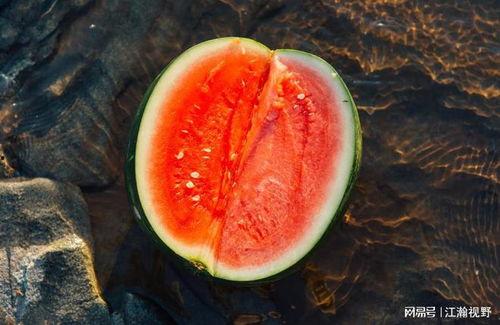 胃寒吃土瓜,土瓜助你温暖养生