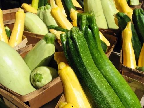 带你吃瓜北海道,带你吃遍特色瓜果佳肴