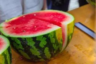 大学吃瓜要参与吗,参与与否，看你的态度与智慧