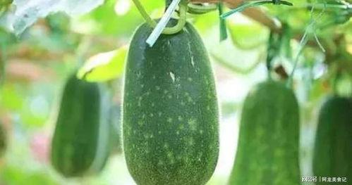 瓜几月吃,夏季最佳食用指南
