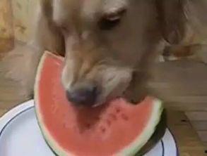 大北汪吃瓜,揭秘娱乐圈背后的那些事儿