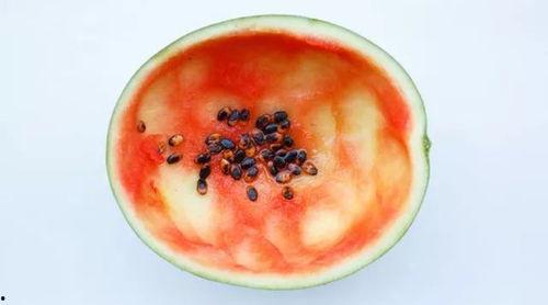 真实还原吃瓜,一场真实吃瓜事件的背后真相