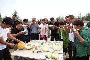 老汉吃瓜壁纸,笑谈世间百态