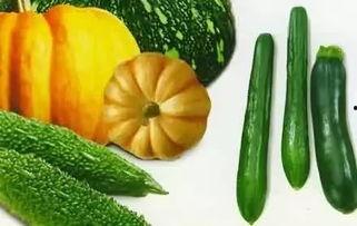 日韩吃的瓜什么品种,探寻特色瓜种的风味之旅