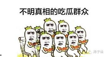 吃瓜群众写文章,网络时代的围观者与传播者