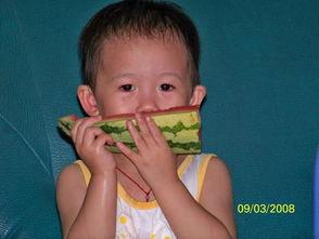 吃瓜楠楠7,网络红人的崛起之路