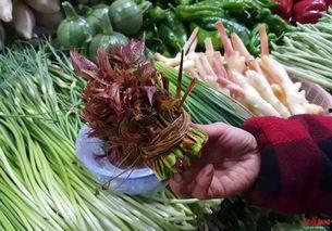 热心的吃瓜网,揭秘娱乐圈幕后故事，带你领略明星真实生活