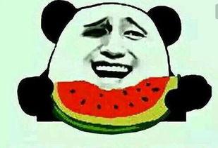 大爷喊命令吃瓜,全民瓜果盛宴开启