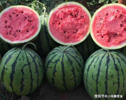 吃瓜不坐马扎,轻松坐享马扎时光