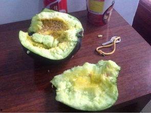 苏州以前吃的瓜,探寻古城里的传统美食记忆