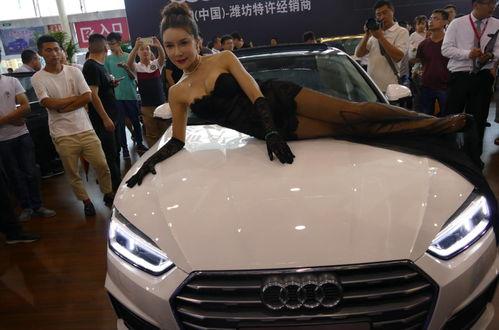 吃瓜网车展,吃瓜网带你直击汽车盛宴现场