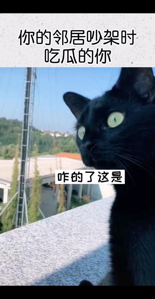 像极了吃瓜的你图片,你，就是那个“像极了吃瓜的你”