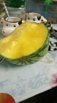 吃哈密瓜吃黄瓤西瓜