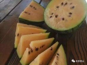 初七吃瓜,揭秘娱乐圈的甜蜜与苦涩