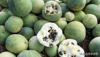 悦灵吃瓜,揭秘娱乐圈那些不为人知的幕后故事