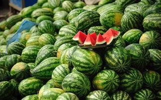 吃别人瓜变自己吃瓜