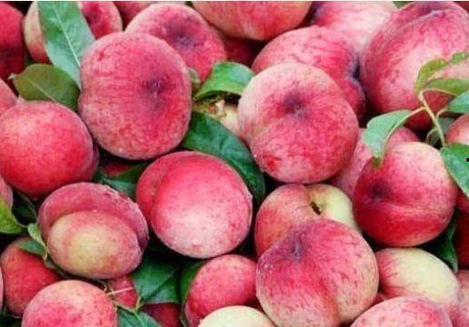 桃桃吃瓜群,揭秘娱乐圈幕后故事