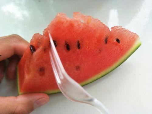 儿童吃瓜可以吃籽吗