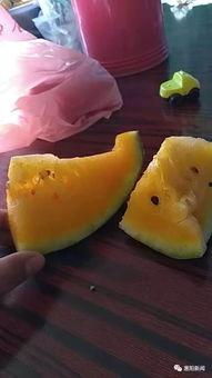 街边群众在线吃瓜,揭秘网络热议背后的真相