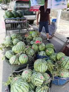 康县老头吃瓜事件,一场引发社会关注的网络风波