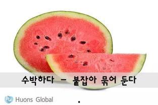 带你吃瓜冷知识